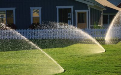 Watering Tips & Tricks for the Summer