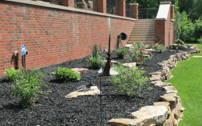 The Benefits of Mulch for your Plants