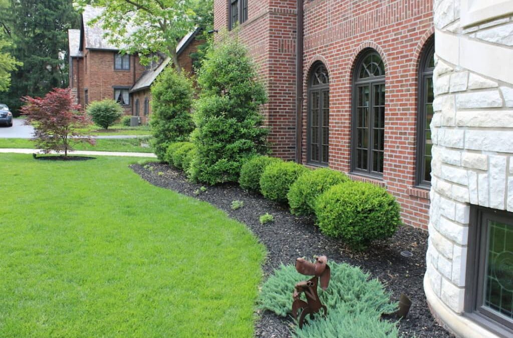 How to Protect your Garden from the Scorching Sun