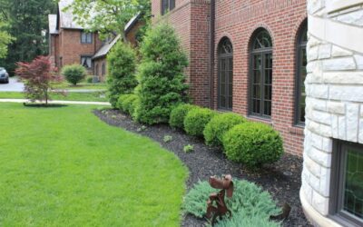 How to Protect your Garden from the Scorching Sun