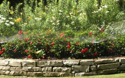 Our 5 Favorite Landscaping Flowers