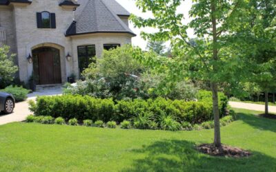 5 Tips for Spring Landscaping
