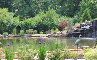 Why Add A Water Feature To Your Yard?