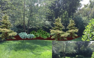 Summer Landscape Tips