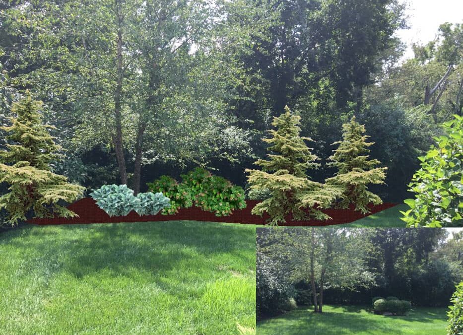 Summer Landscape Tips