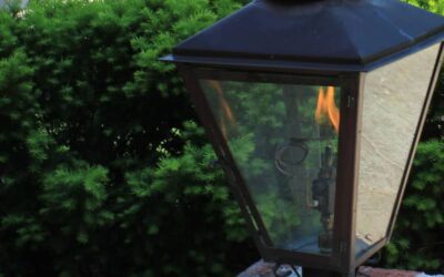 5 Reasons You Should Install A Water Feature