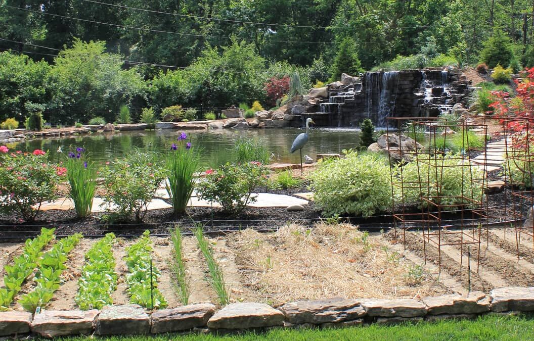 Tips for Spring Lawn Care and Maintenance