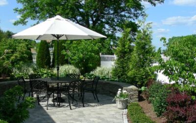 Getting Your Lawn Ready For Fall