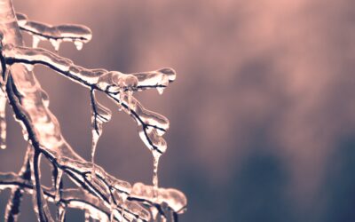 Emergency Measures for Taking Care of Your Frozen Irrigation System