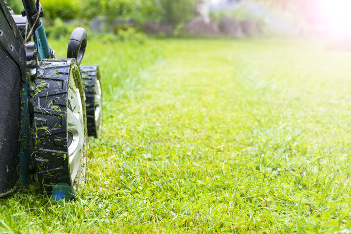 6 Essential Summer Lawn and Garden Care Tips You Shouldn’t Skip