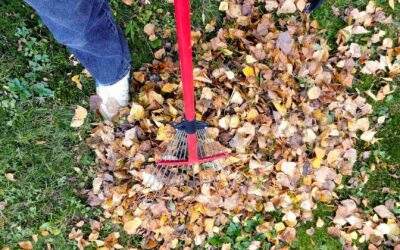 The Ultimate Spring Cleanup Checklist For Your Lawn