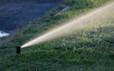 Why Lawn Irrigation In St. Louis Is Essential To Outdoor Lawn Care