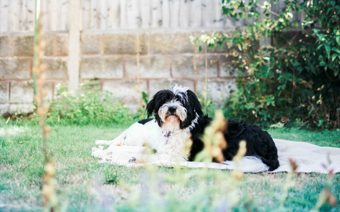 Hardscaping Ideas to Transform Your Outdoor Space