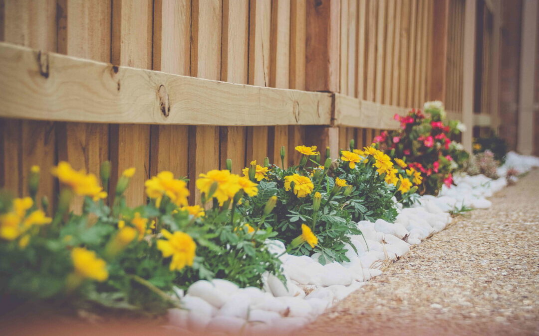 Why Fall is the Most Ideal Time of Year to Begin Landscaping Projects in St. Louis