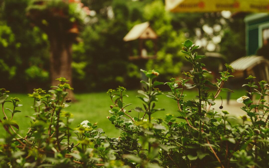 Outdoor Landscaping Experts Break Down the 10 Most Important Landscape Design Projects