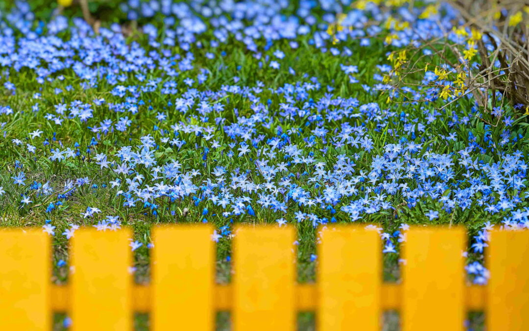 10 Commonly Asked Questions About Fence Installations