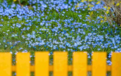 10 Commonly Asked Questions About Fence Installations