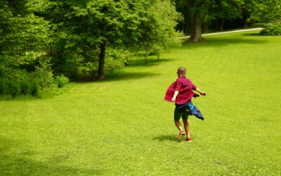 How to Decide between Seed and Sod in St. Louis