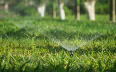 How to Take Care of a Sprinkler Repair