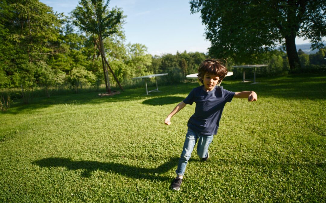 Everything You Need to Know about Lawn Aeration Service