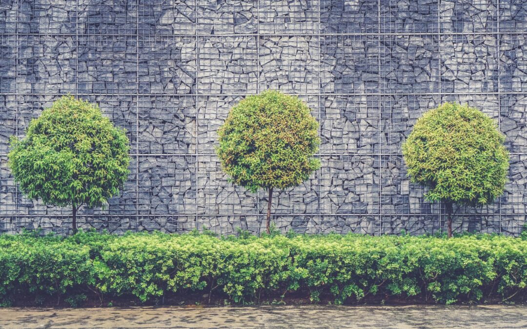 Why You Should Hire a Shrub Care Company