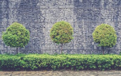 Why You Should Hire a Shrub Care Company