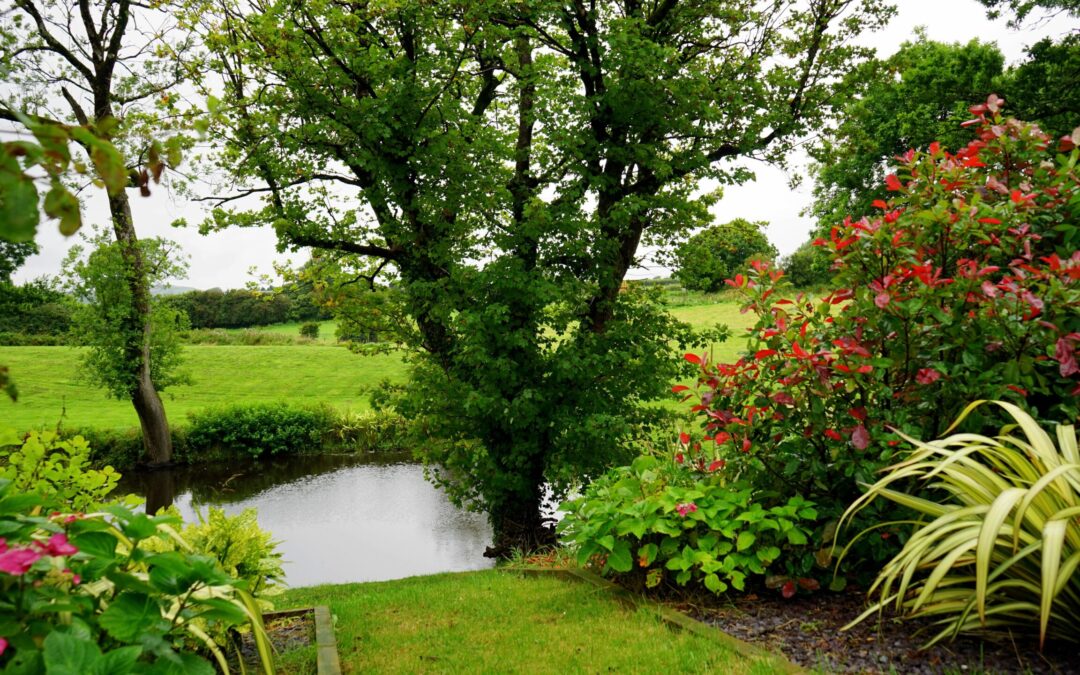 How to Achieve Your Dream Landscape Designs