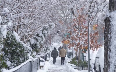 Everything You Need to Know About Snow Removal in St. Louis