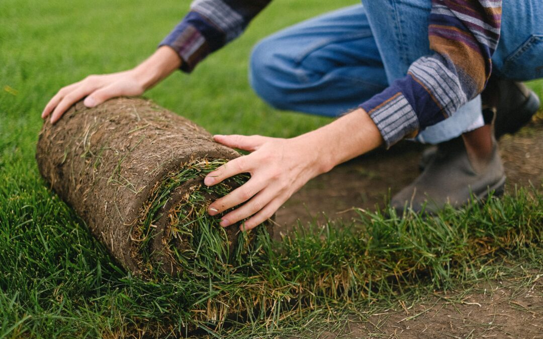 Our Best Tips for Sod Installation in St. Louis