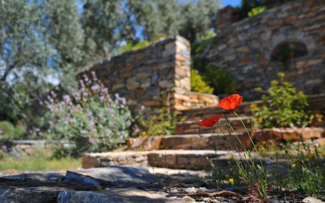 The Comprehensive Guide to Hardscaping Services in Saint Louis