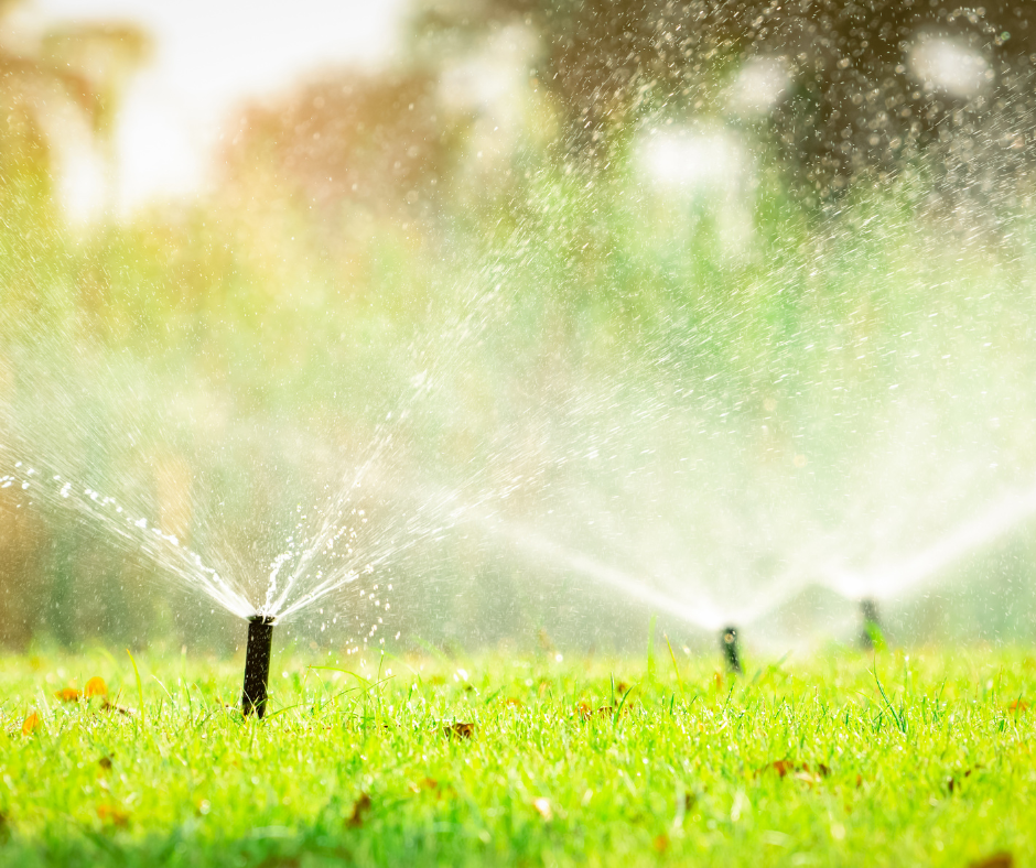 backflow irrigation system