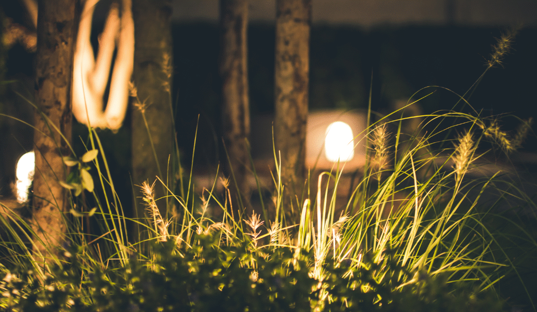 The Ultimate Guide to Outdoor Landscape Lighting in St. Louis
