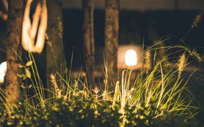 The Ultimate Guide to Outdoor Landscape Lighting in St. Louis