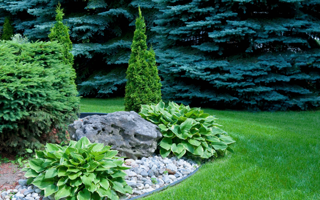 Best Trees for St. Louis Landscapes: Selection and Care Guide