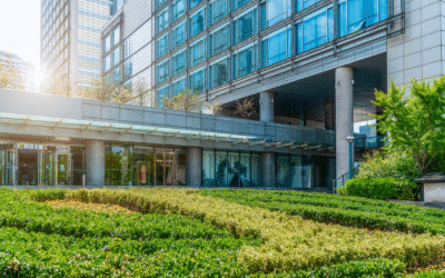 Beyond Aesthetics: How Commercial Landscaping Transforms St. Louis Business Properties