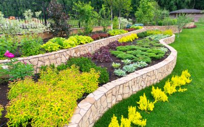 Maintaining Your Lawn