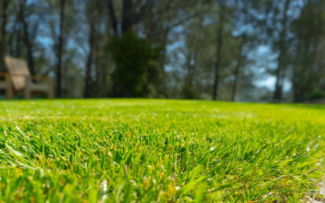 2014 Sprinkler Maintenance Plans