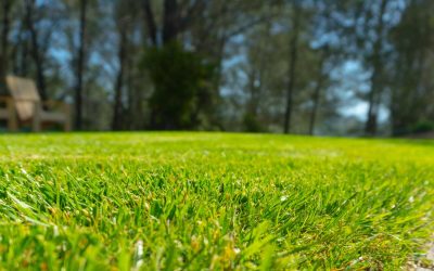 2014 Sprinkler Maintenance Plans