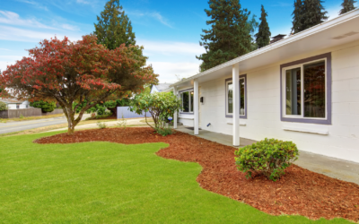 5 Landscape Fabric Alternatives That Actually Work